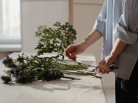 BVI 2025年合規(guī)提醒與監(jiān)管動態(tài)更新