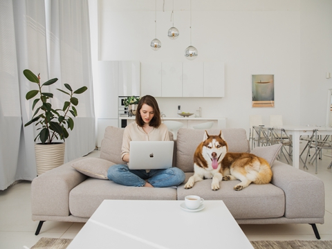 佛羅里達(dá)州公司年審報(bào)稅流程詳解及避坑指南