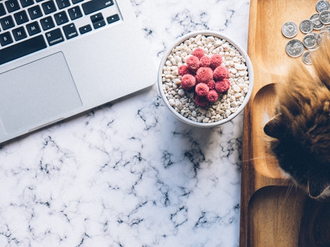 注冊美國公司選哪個州？特拉華與加州稅務(wù)差異達(dá)2萬美元